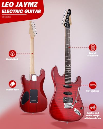Leo Jaymz 39 Full Size ST Style Electric Guitar Starter Kit with SSH Pickup, 5W Portable Amp, Tuner, Gig Bag, Strap & Accessories (Violet Ocean) - Image 94